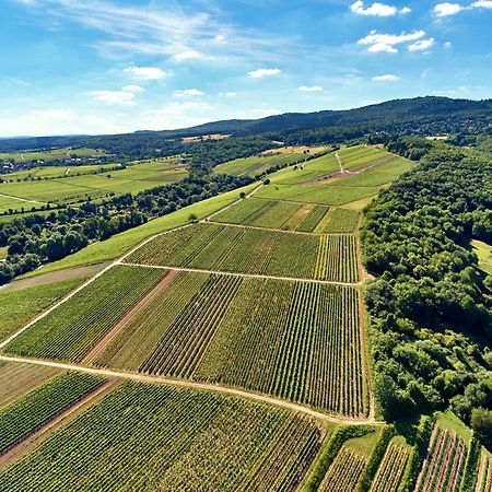 Balthasar Ress Guesthouse Am Rebhang Im Rheingau Oestrich-Winkel Ngoại thất bức ảnh