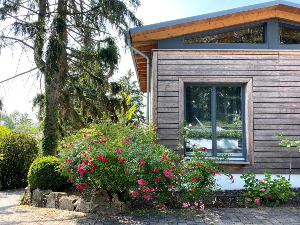 Balthasar Ress Guesthouse Am Rebhang Im Rheingau Oestrich-Winkel Ngoại thất bức ảnh