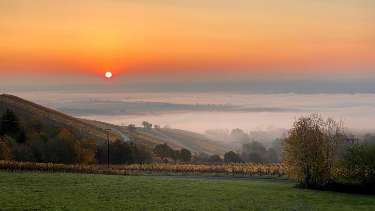 Balthasar Ress Guesthouse Am Rebhang Im Rheingau Oestrich-Winkel Ngoại thất bức ảnh